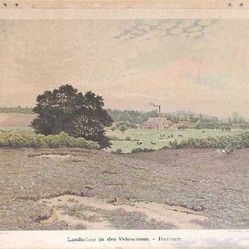 Bueninck - landschap Veluwezoom Heelsum